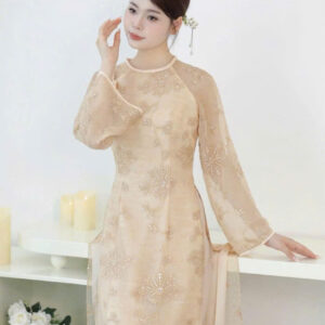 Áo Dài Bình Thường - ADBT109